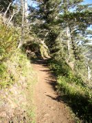 Cape Lookout 099 